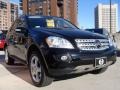 Black - ML 350 4Matic Photo No. 4