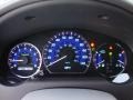  2010 Sienna Limited AWD Limited AWD Gauges