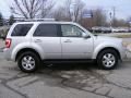 Brilliant Silver Metallic 2009 Ford Escape Hybrid Limited 4WD Exterior