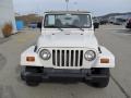 Stone White - Wrangler Sahara 4x4 Photo No. 9