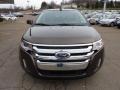 Earth Metallic 2011 Ford Edge SEL AWD Exterior