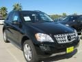 Black - ML 350 Photo No. 1