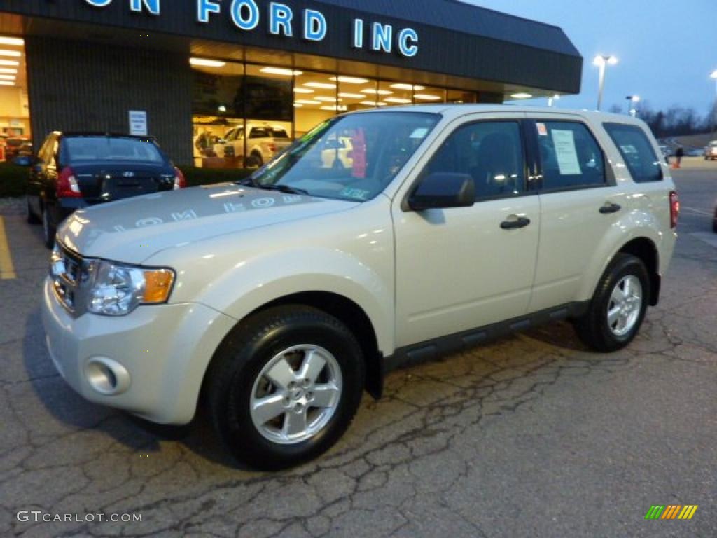 Light Sage Metallic 2009 Ford Escape XLS 4WD Exterior Photo #40523600