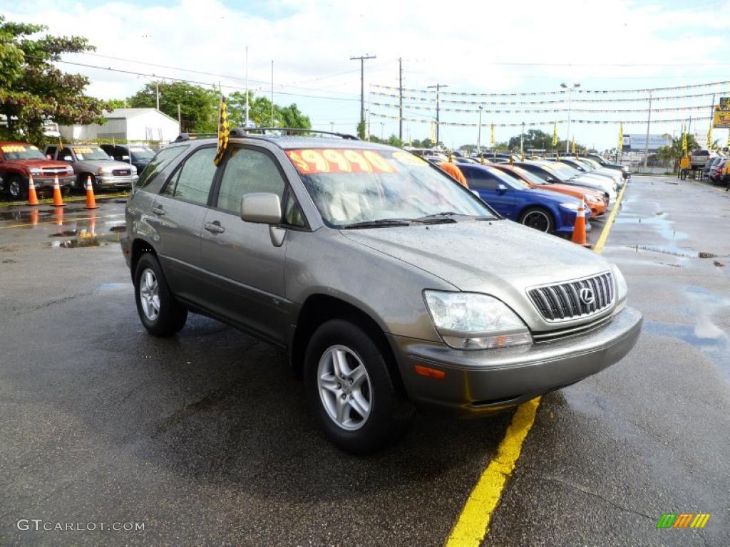 2001 RX 300 - Burnished Gold Metallic / Ivory photo #1