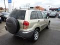 2002 Vintage Gold Metallic Toyota RAV4 4WD  photo #4