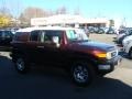 Black Cherry Pearl - FJ Cruiser 4WD Photo No. 1
