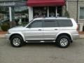 Munich Silver Metallic - Montero Sport XLS 4x4 Photo No. 2