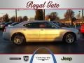 Bright Silver Metallic - Charger R/T Photo No. 1