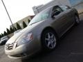 Polished Pewter Metallic - Altima 3.5 SE Photo No. 1