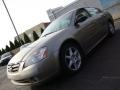 2003 Polished Pewter Metallic Nissan Altima 3.5 SE  photo #1