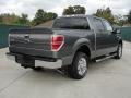 2010 Sterling Grey Metallic Ford F150 XLT SuperCrew  photo #3