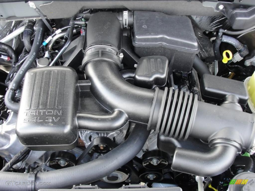 2010 F150 FX4 SuperCrew 4x4 - Sterling Grey Metallic / Black photo #19