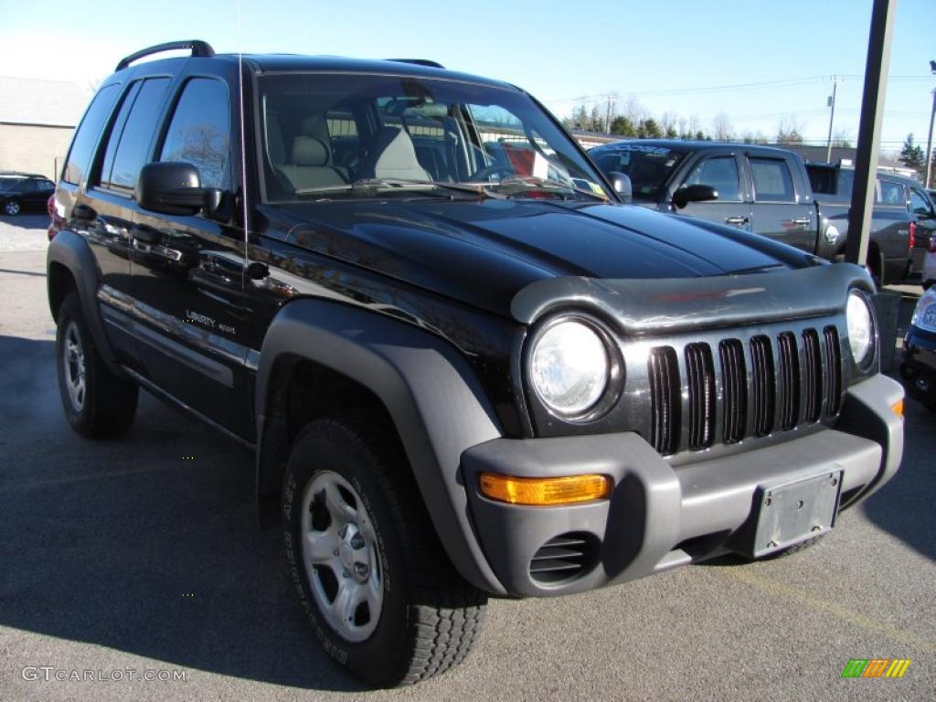 2002 Liberty Sport 4x4 - Black / Dark Slate Gray photo #20