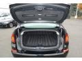 Black Trunk Photo for 2010 BMW 5 Series #40540421