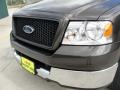 2005 Dark Stone Metallic Ford F150 XLT SuperCrew  photo #11