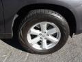 Magnetic Gray Metallic - Highlander 4WD Photo No. 11