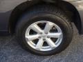 Magnetic Gray Metallic - Highlander 4WD Photo No. 13