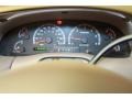 Castano Brown Leather Gauges Photo for 2003 Ford F150 #40547209