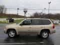 Sand Beige Metallic - Envoy SLT 4x4 Photo No. 6