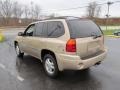 Sand Beige Metallic - Envoy SLT 4x4 Photo No. 7