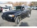 Memphis Blue Pearl 2002 Mitsubishi Montero Sport LS 4x4