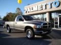 2005 Mineral Gray Metallic Dodge Ram 1500 ST Regular Cab 4x4  photo #2