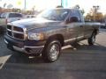 2005 Mineral Gray Metallic Dodge Ram 1500 ST Regular Cab 4x4  photo #4