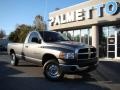 2005 Mineral Gray Metallic Dodge Ram 1500 ST Regular Cab 4x4  photo #22