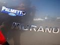 2005 Platinum Metallic Nissan Murano SL AWD  photo #36