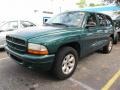 2003 Timberline Green Pearlcoat Dodge Durango Sport  photo #4