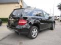 Black - ML 350 4Matic Photo No. 6