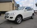 Arctic White - ML 350 4Matic Photo No. 3