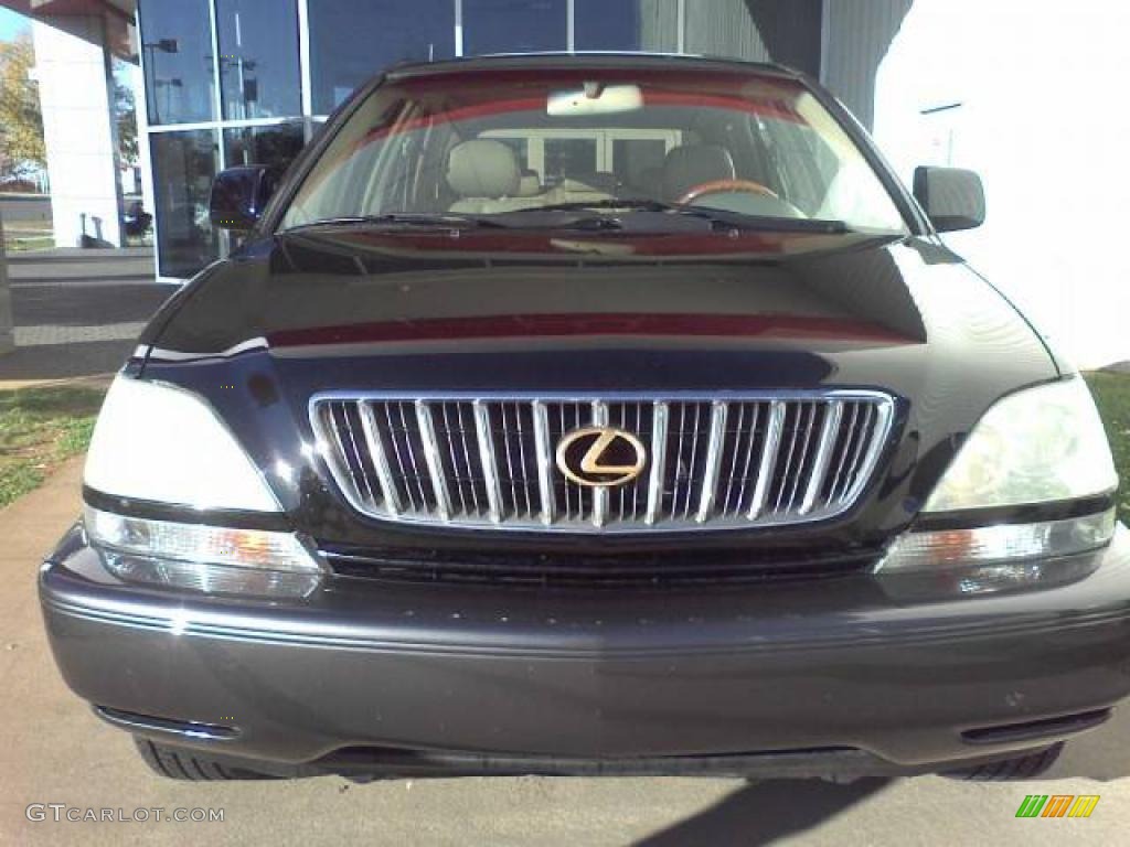 2001 RX 300 - Black Onyx / Ivory photo #2