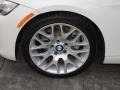 2010 BMW 3 Series 328i Coupe Wheel and Tire Photo