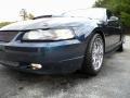 2003 True Blue Metallic Ford Mustang GT Coupe  photo #50