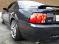 2003 True Blue Metallic Ford Mustang GT Coupe  photo #52