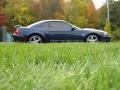 2003 True Blue Metallic Ford Mustang GT Coupe  photo #114