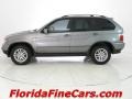 Sterling Grey Metallic - X5 3.0i Photo No. 3