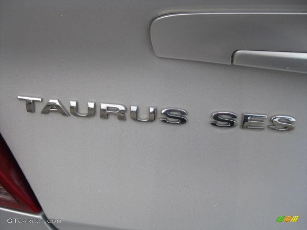 2004 Taurus SES Sedan - Silver Frost Metallic / Medium Graphite photo #20