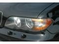 Black Sapphire Metallic - X5 3.0i Photo No. 11
