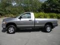 Mineral Gray Metallic - Ram 2500 SLT Regular Cab 4x4 Photo No. 18