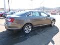 Sterling Grey - Taurus SEL Photo No. 4