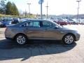 Sterling Grey - Taurus SEL Photo No. 5