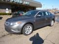 Sterling Grey - Taurus SEL Photo No. 8