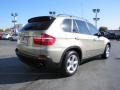 2009 Platinum Bronze Metallic BMW X5 xDrive30i  photo #6