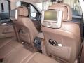 2009 Platinum Bronze Metallic BMW X5 xDrive30i  photo #19