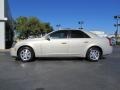 Gold Mist - CTS Sedan Photo No. 4
