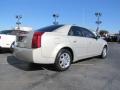 Gold Mist - CTS Sedan Photo No. 6