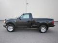 Black 2000 Ford F150 XLT Regular Cab 4x4 Exterior