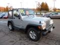 2003 Bright Silver Metallic Jeep Wrangler SE 4x4  photo #6